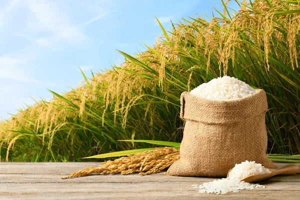 Sun Rice